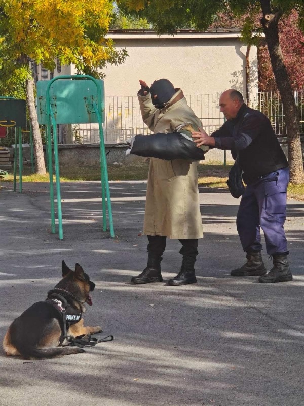 policaj-3